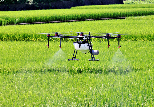 ÇÀÌô»¶ÉÛ¡¦Äê´üÅÀ¸¡